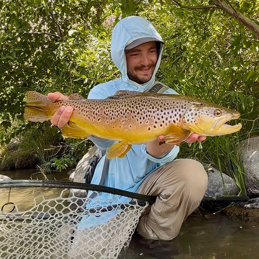 August 22nd, Fly Fishing Report for the Truckee River and Little Truckee River
