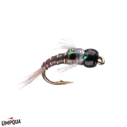 Umpqua Tungsten Darth Baetis