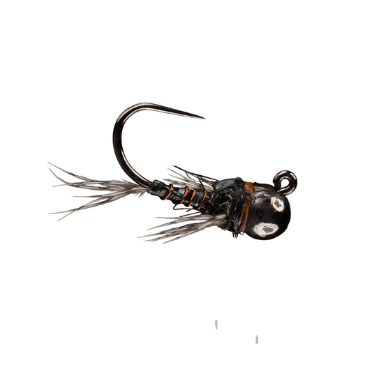 Rio's Morrish Sparkle Donkey