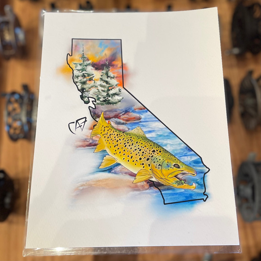 Chase Fuller Brown Trout Print