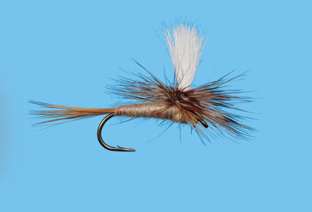 Solitude Parachute March Brown