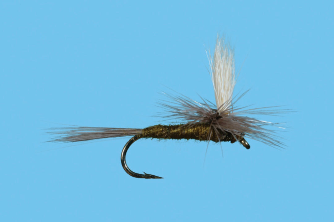 Solitude Parachute BWO - Olive