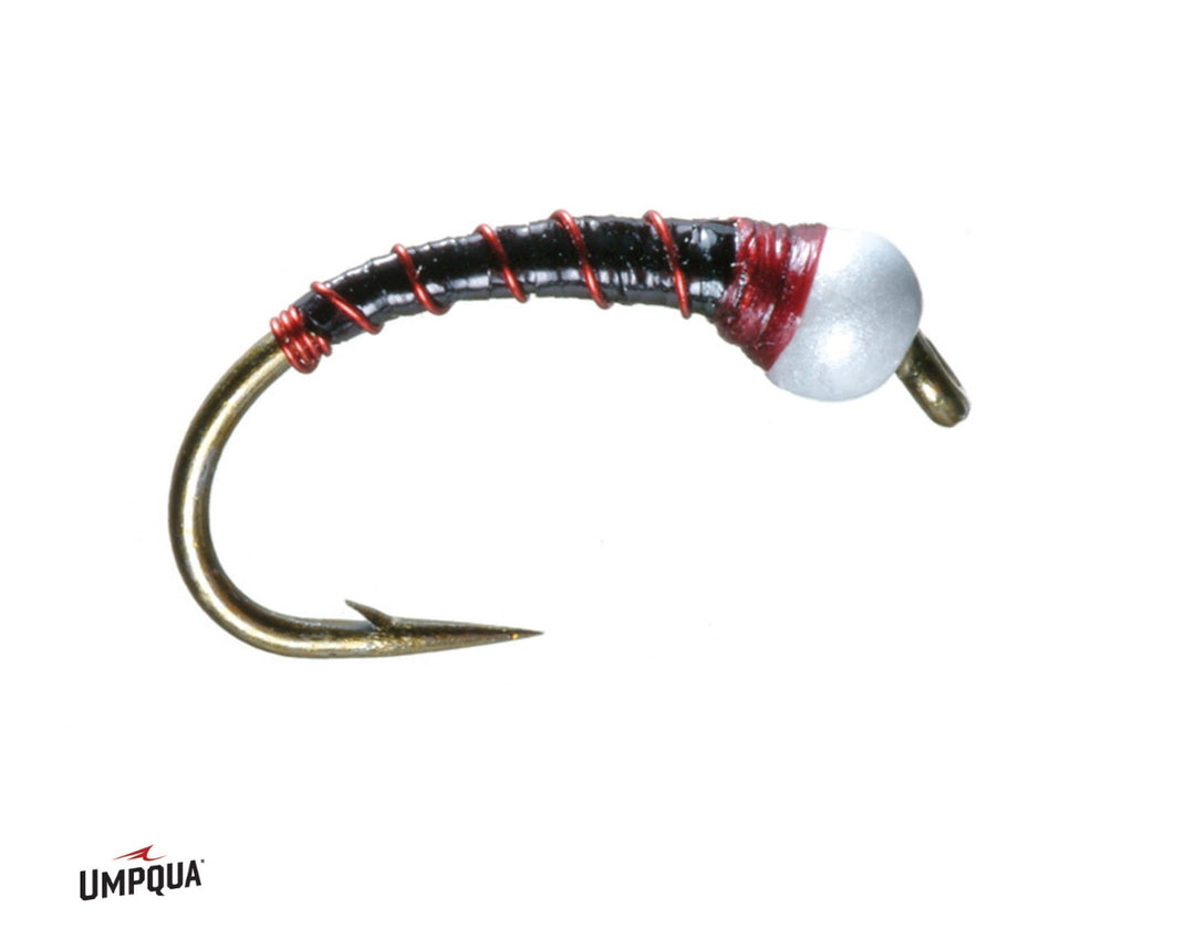 Umpqua Chironomid Pupa - Black/Red