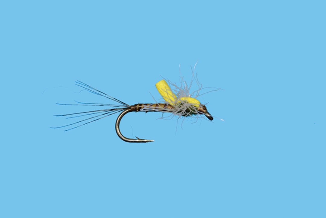 Solitude C-Um Spinner