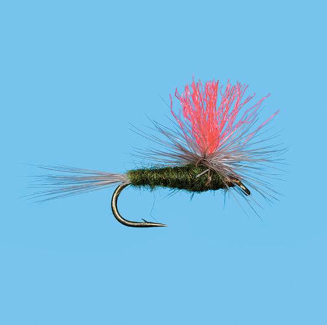 Solitude Hi-Vis BWO - Green