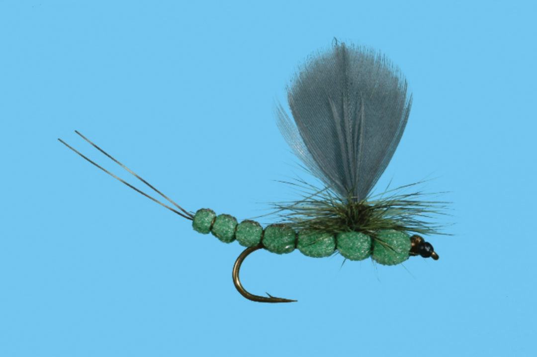 Solitude Foam Green Drake