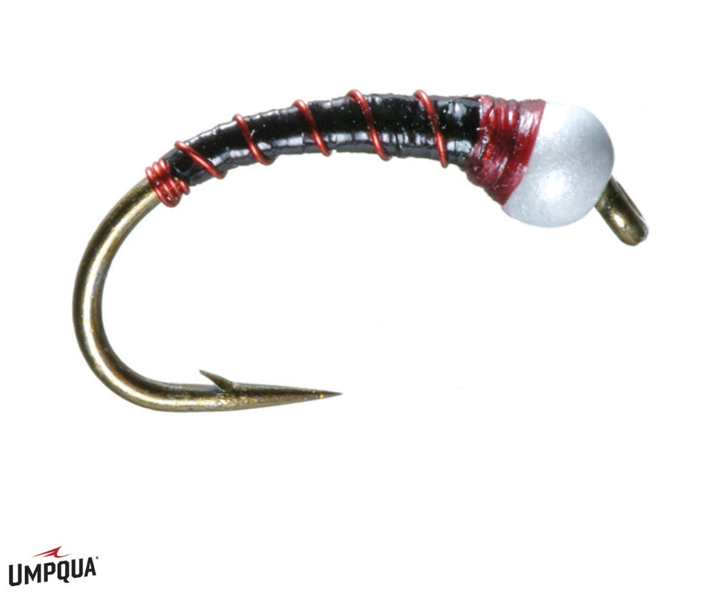 Umpqua Crion Pupa