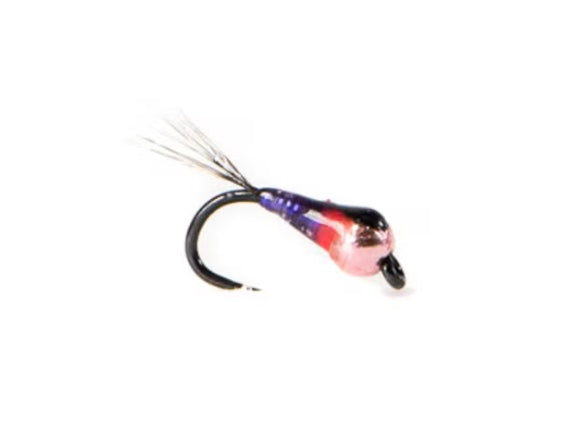 Umpqua Perdichingons Maktima