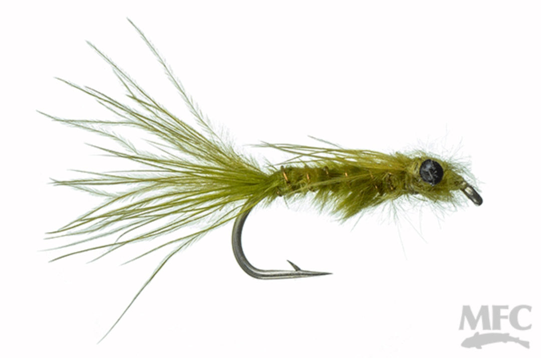 MFC Rowley's Pearly Damsel