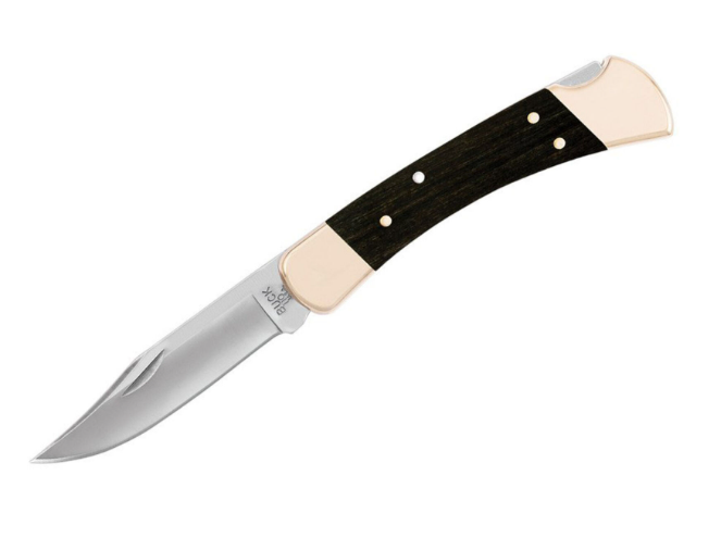 Buck 110 Folding Hunter