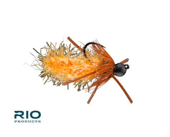 RIO Spice Larva