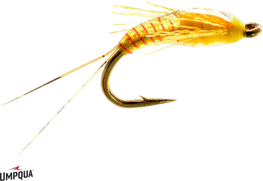 Umpqua Juju Sally