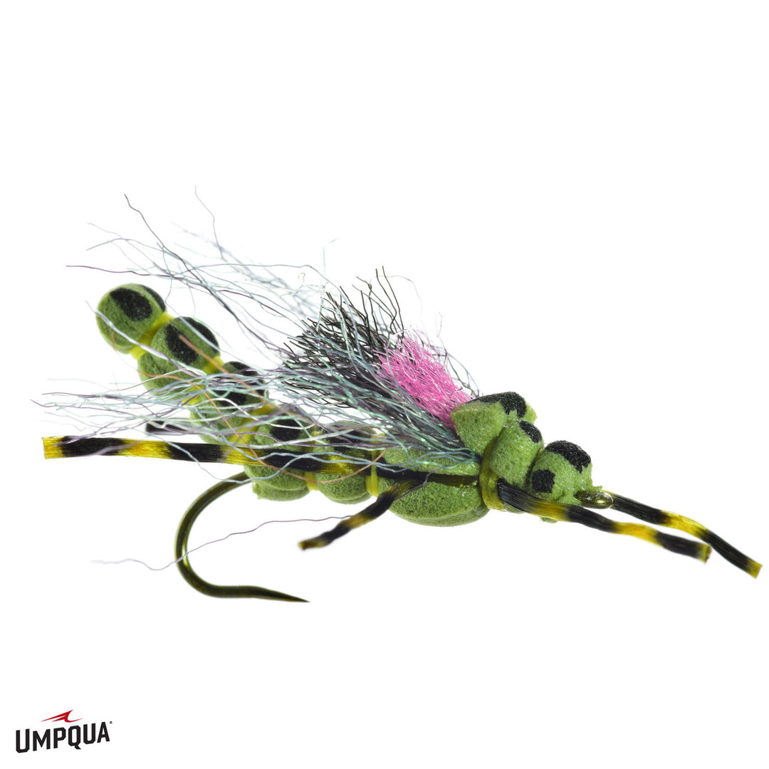 Umpqua Morningwood Special