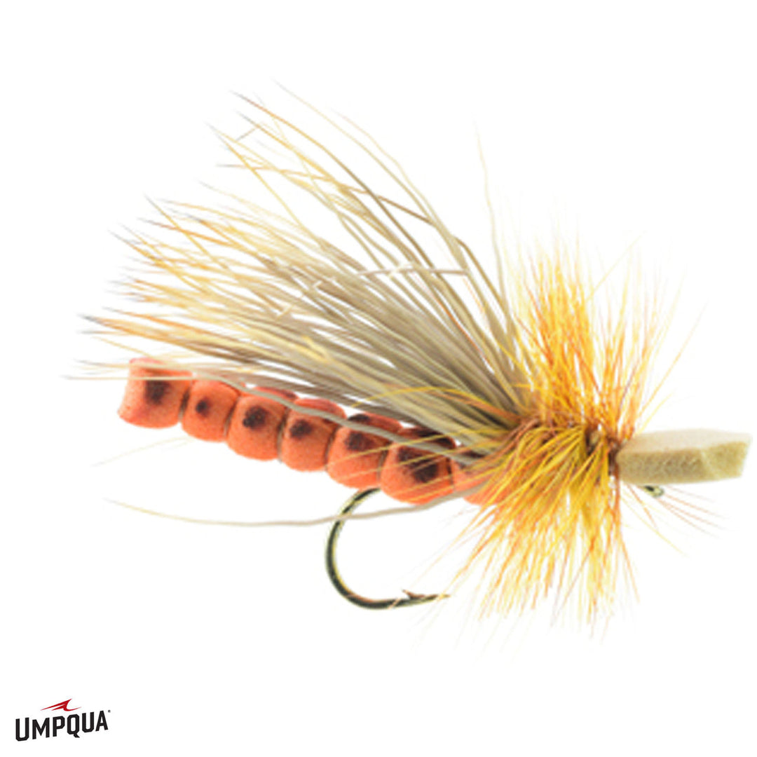 Umpqua October Caddis Adult