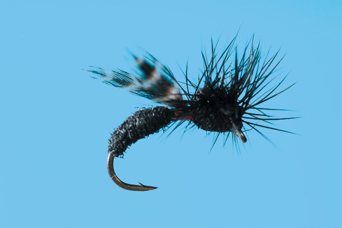 Solitude RP's Ant