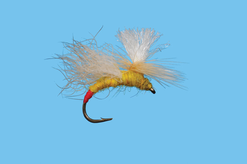 Solitude Snow Shoe Yellow Sally