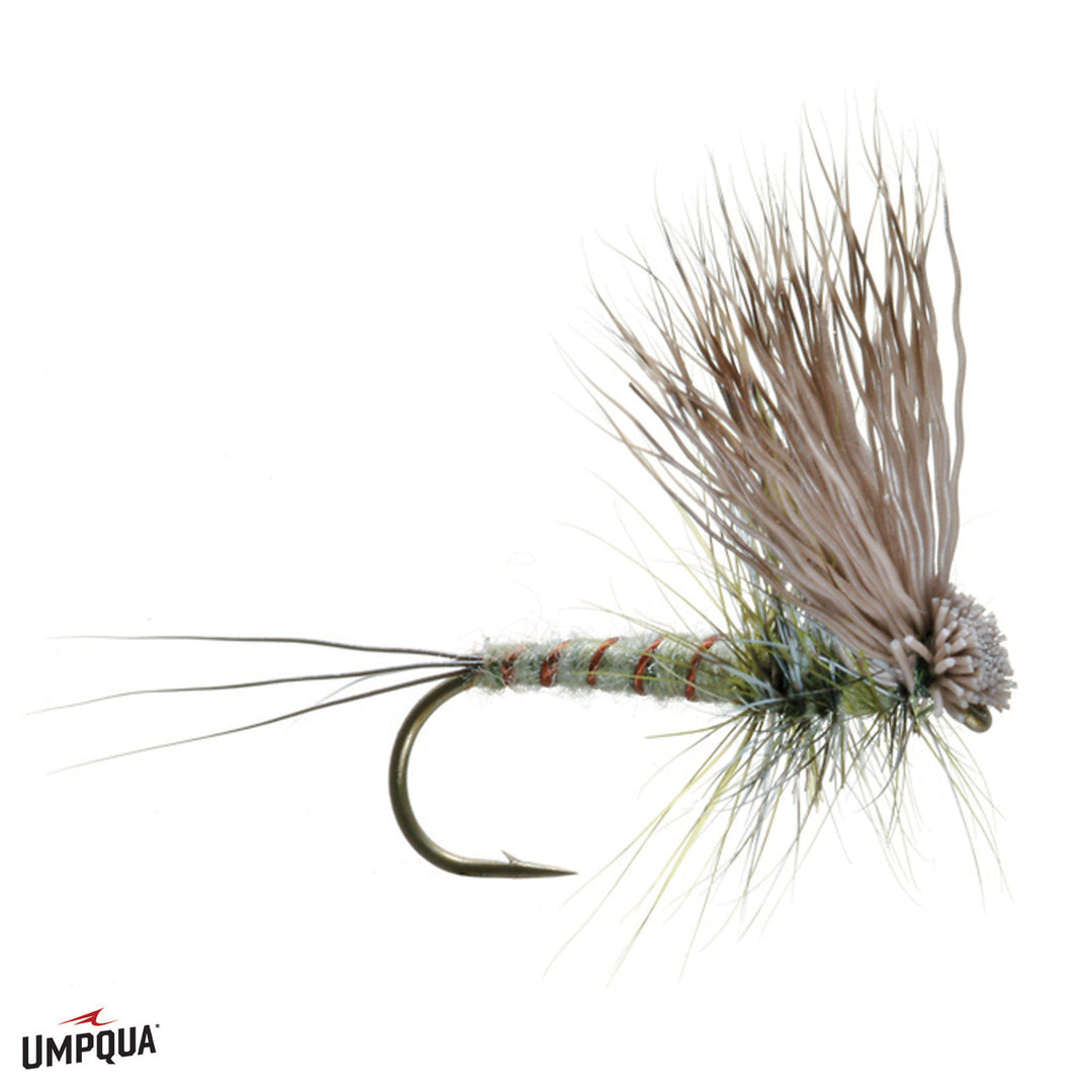 Umpqua Hairwing Dun