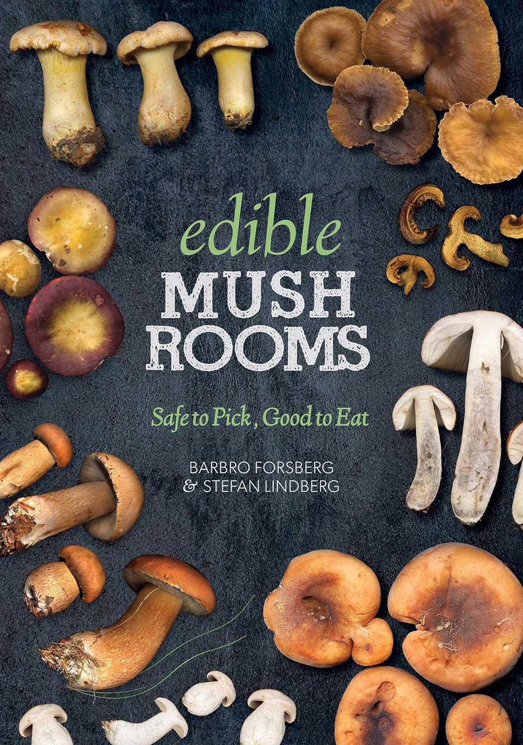 Edible Mushrooms - by Barbro Forsberg (Paperback)