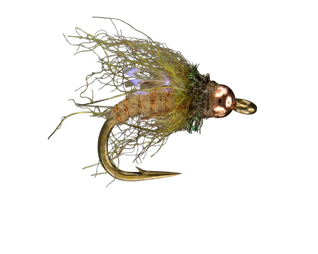 RIO's Hogan's Yuba Pupa