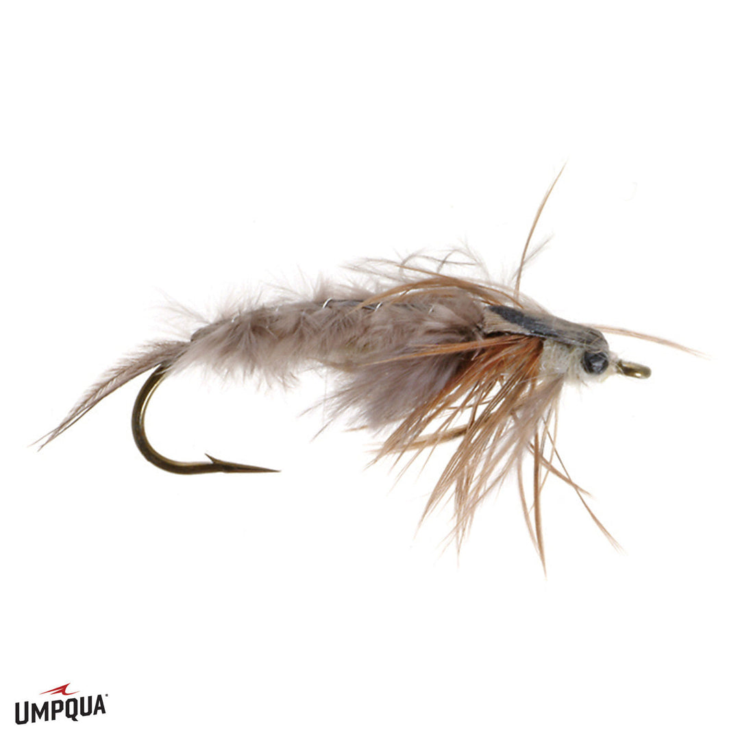 Umpqua Bear's Hex