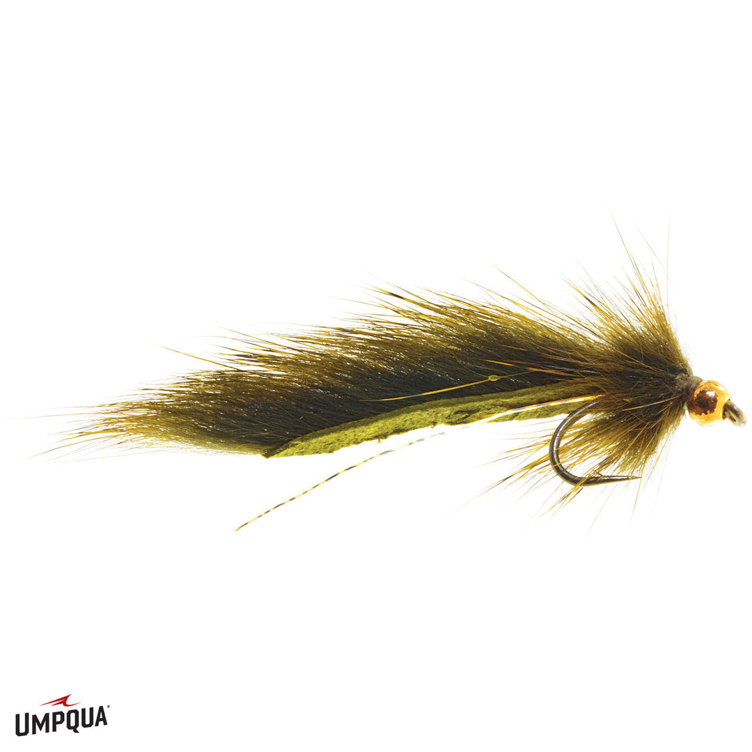 Umpqua Pinesquirrel Leech