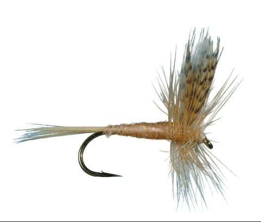 Solitude Pink Cahill