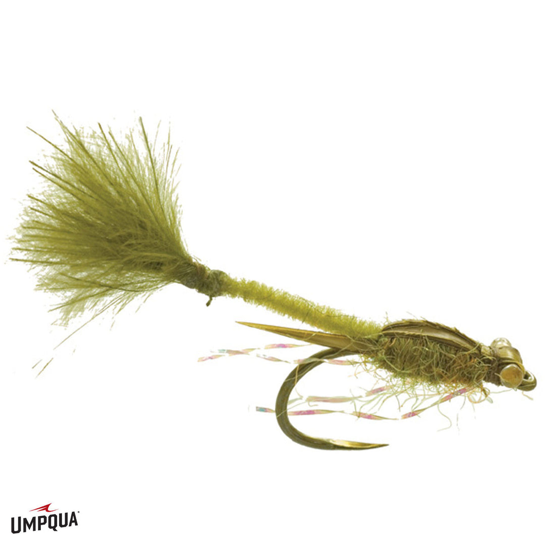 Umpqua Sierra Damsel