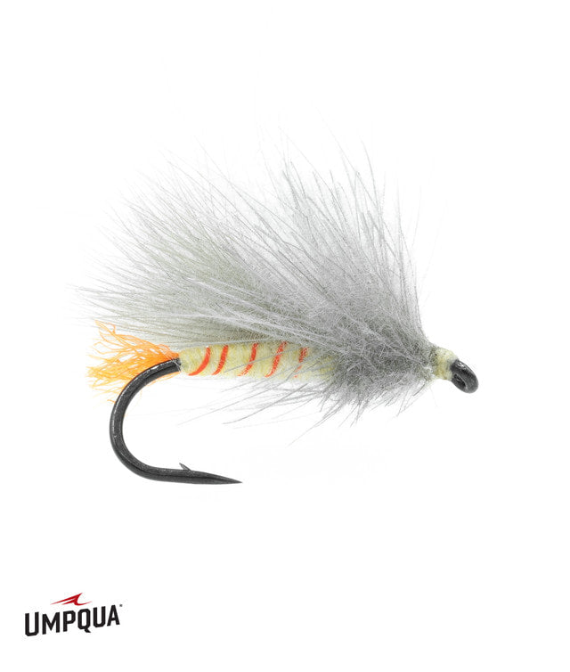 Umpqua Corn-fed Sally