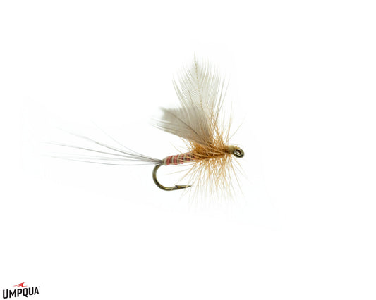 Umpqua Melon Quill