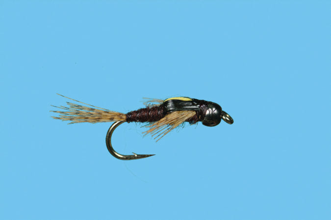 Solitude Tungsten Split Case PMD