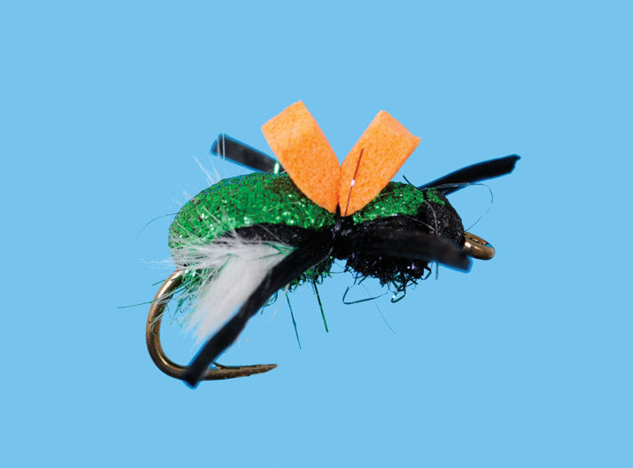 Solitude Green Beetle