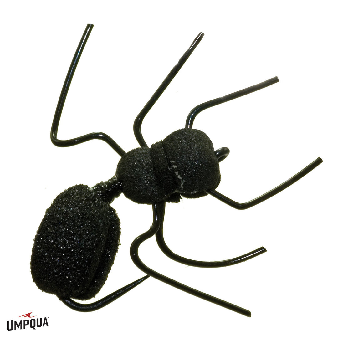 Umpqua Ant Misbehavin'