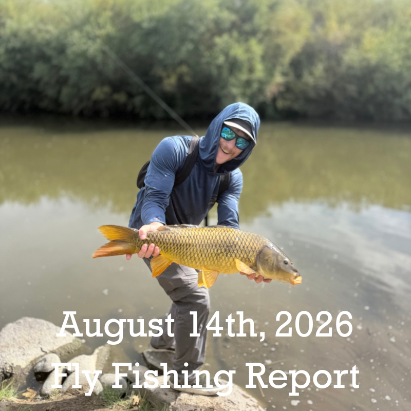 August 14th Fly Fishing Report for the Truckee River, Little Truckee River