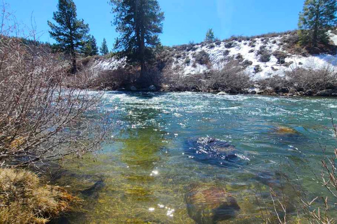 TCO Fishing Report – April 2, 2021