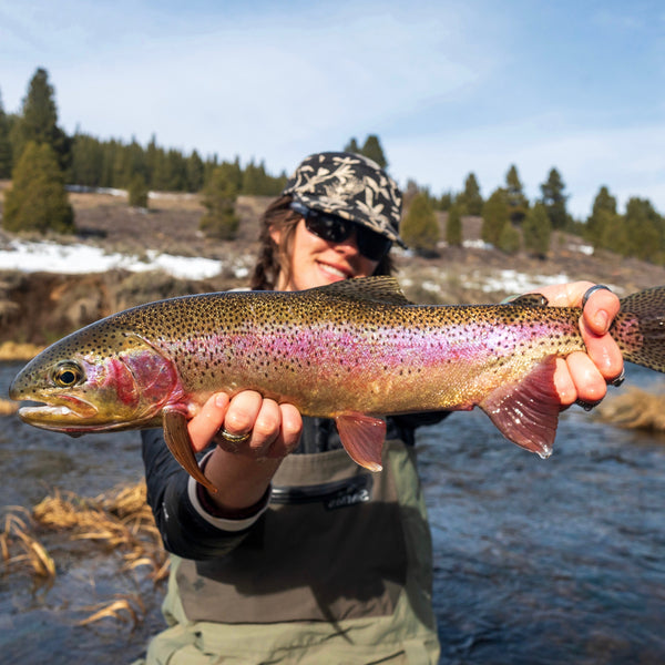 January 30th Fly Fishing Report for the Truckee River, Little Truckee River and Pyramid Lake