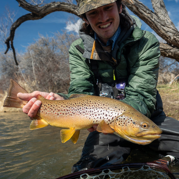 March 13th Fly Fishing Report for the Truckee River, Little Truckee River and Pyramid Lake
