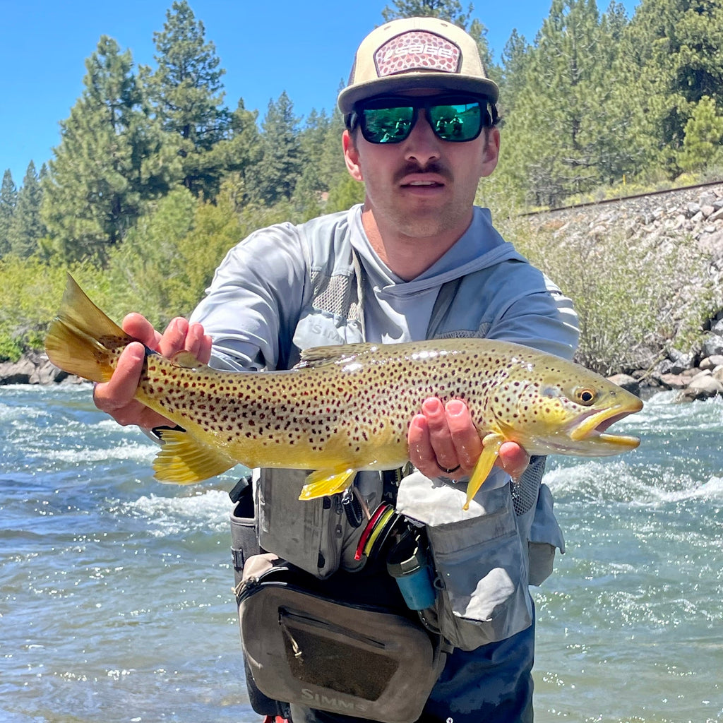 May 23rd, Fly Fishing Report for the Truckee River and Little Truckee River