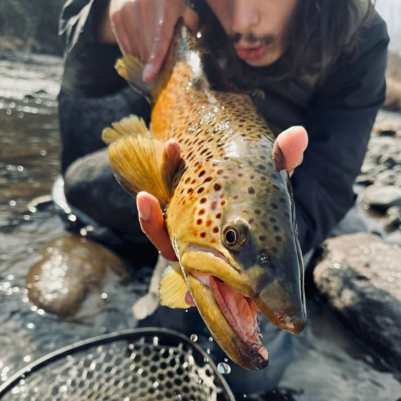 November 21st Fly Fishing Report for the Truckee River, Little Truckee River and Pyramid Lake