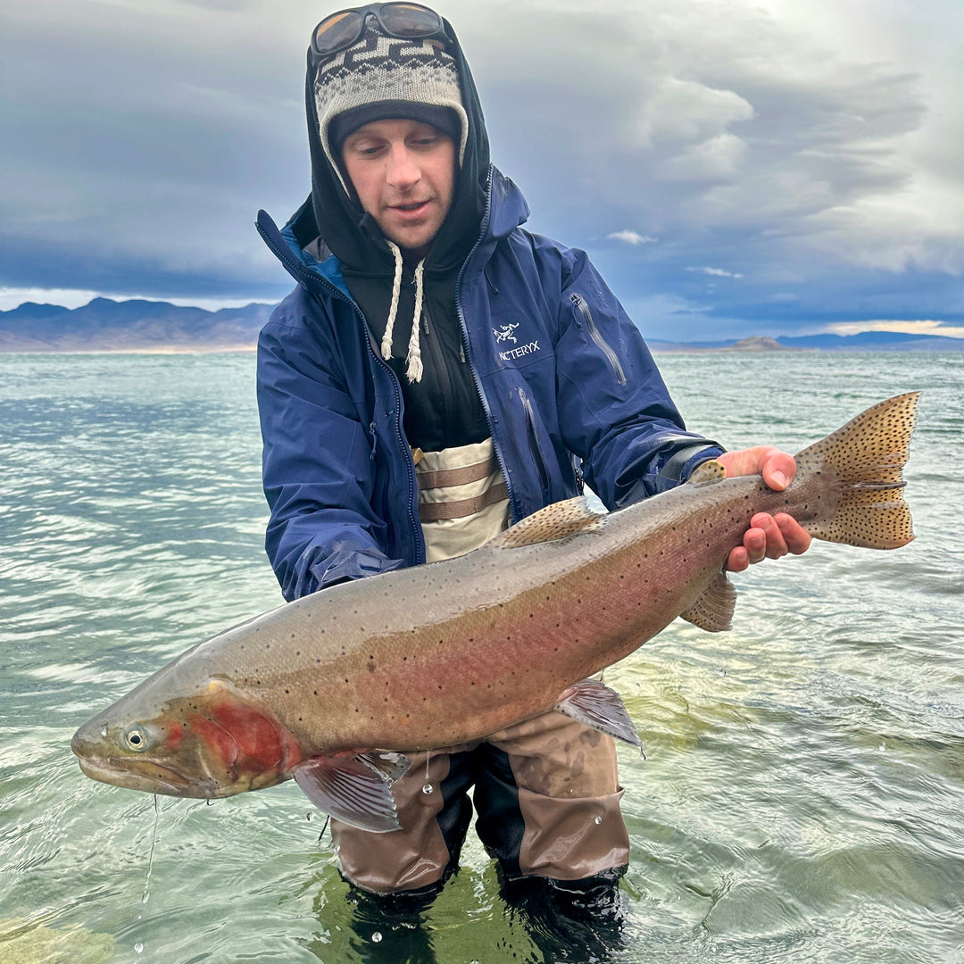 January 2nd Fly Fishing Report for the Truckee River, Little Truckee River and Pyramid Lake