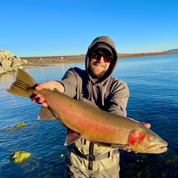 December 19th Fly Fishing Report for the Truckee River, Little Truckee River and Pyramid Lake