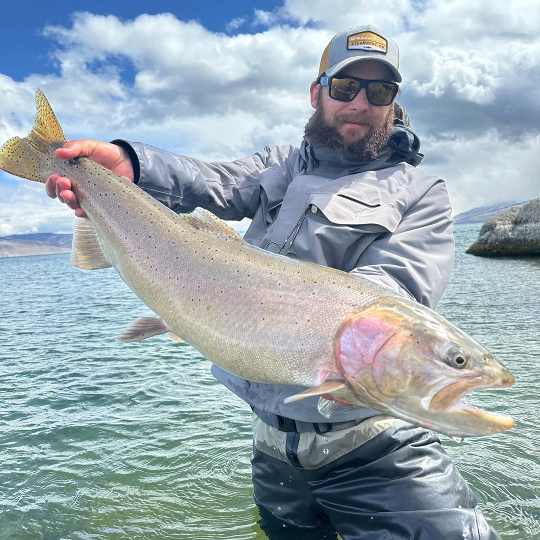 April 4th, Fly Fishing Report for the Truckee River, Little Truckee River and Pyramid Lake
