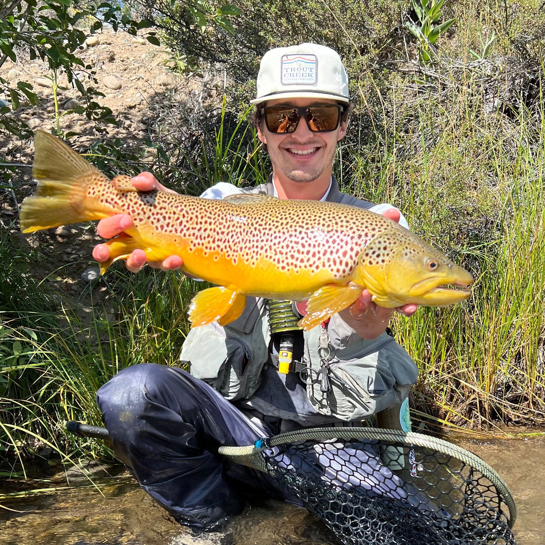 September 19th Fly Fishing Report for the Truckee River and Little Truckee River