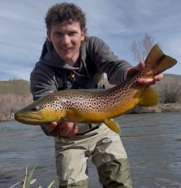 April 3rd Fly Fishing Report for the Truckee River, Little Truckee River and Pyramid Lake