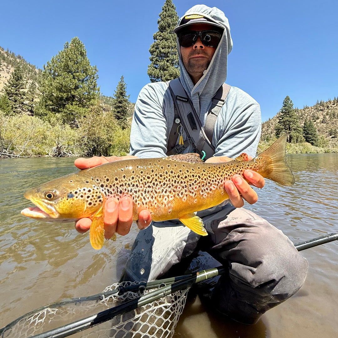 August 8th, Fly Fishing Report for the Truckee River and Little Truckee River