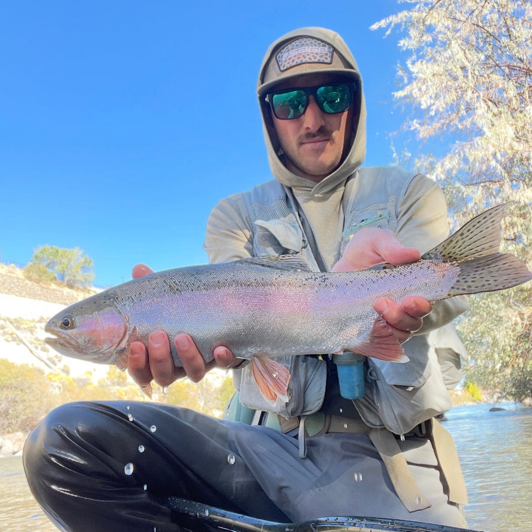 October 10th Fly Fishing Report for the Truckee River, Little Truckee River and Pyramid Lake