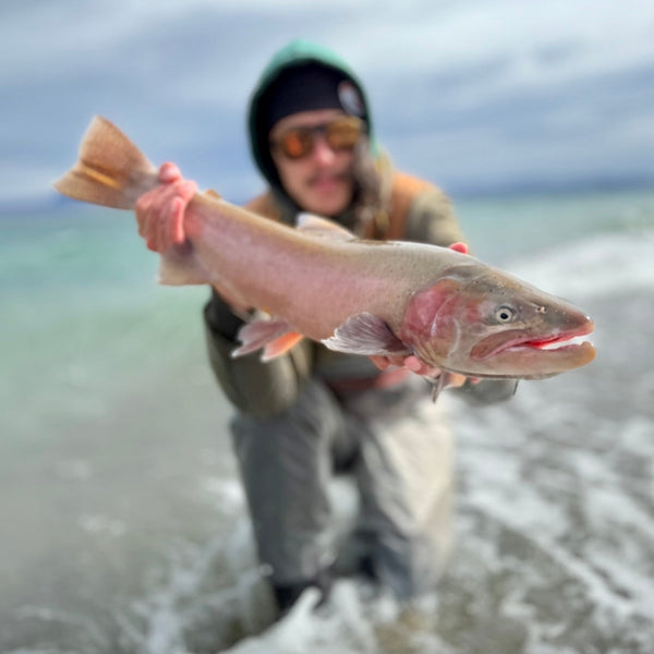 February 20th Fly Fishing Report for the Truckee River, Little Truckee River and Pyramid Lake