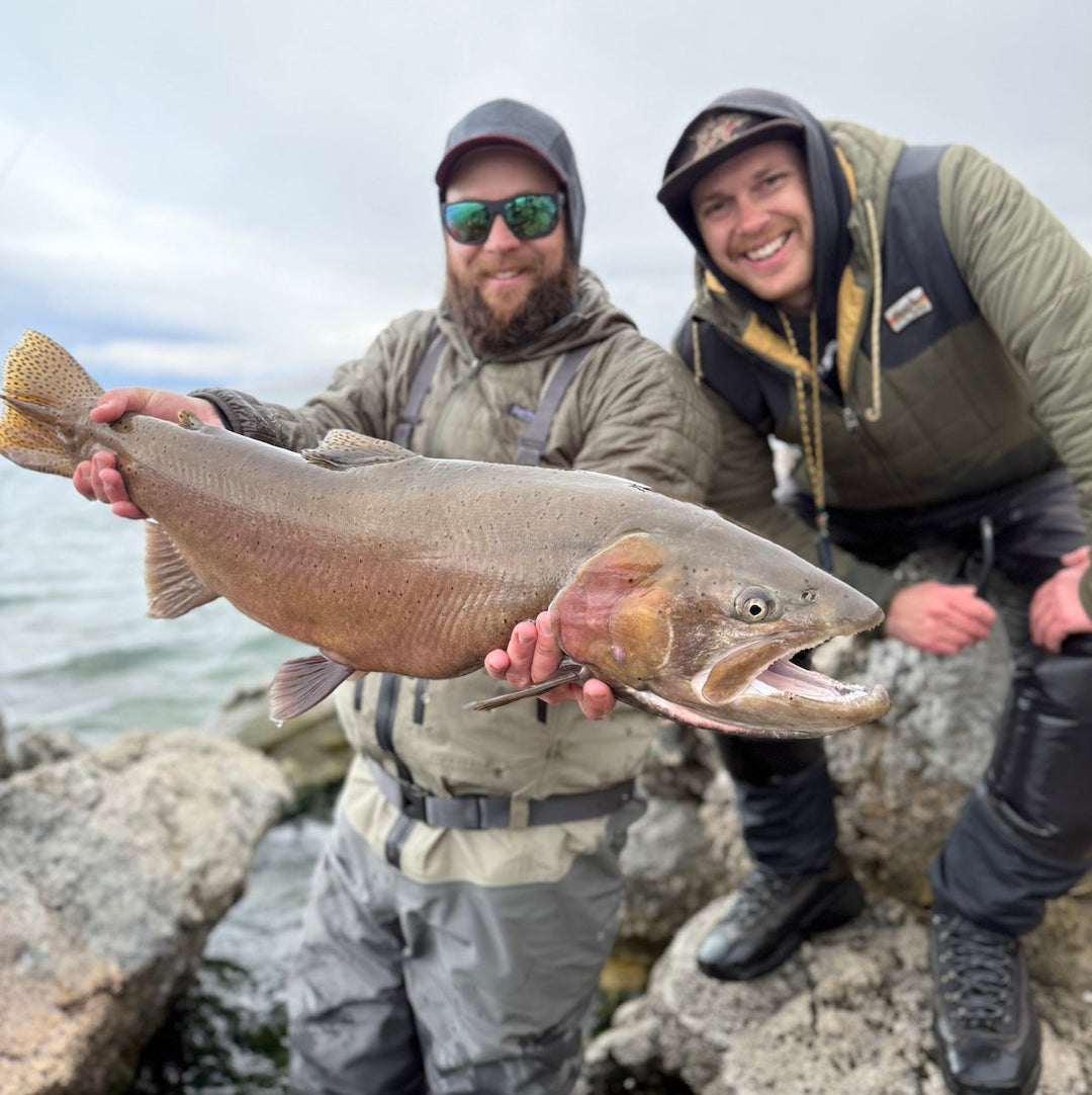 March 28th, Fly Fishing Report for the Truckee River, Little Truckee River and Pyramid Lake