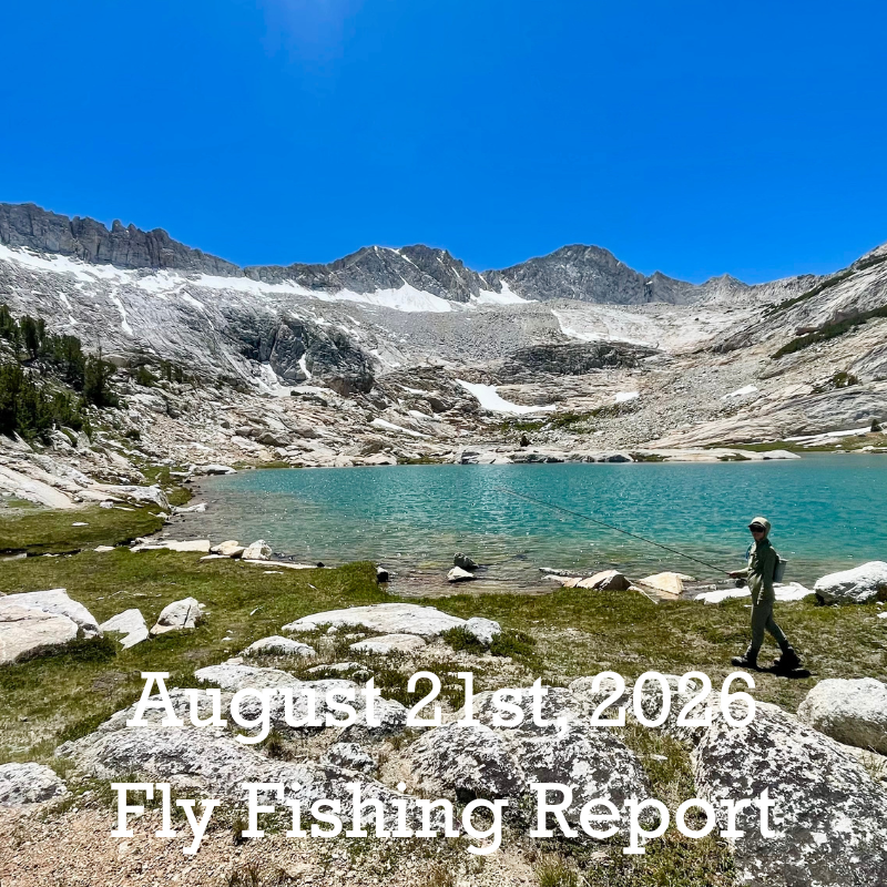 August 21st Fly Fishing Report for the Truckee River, Little Truckee River