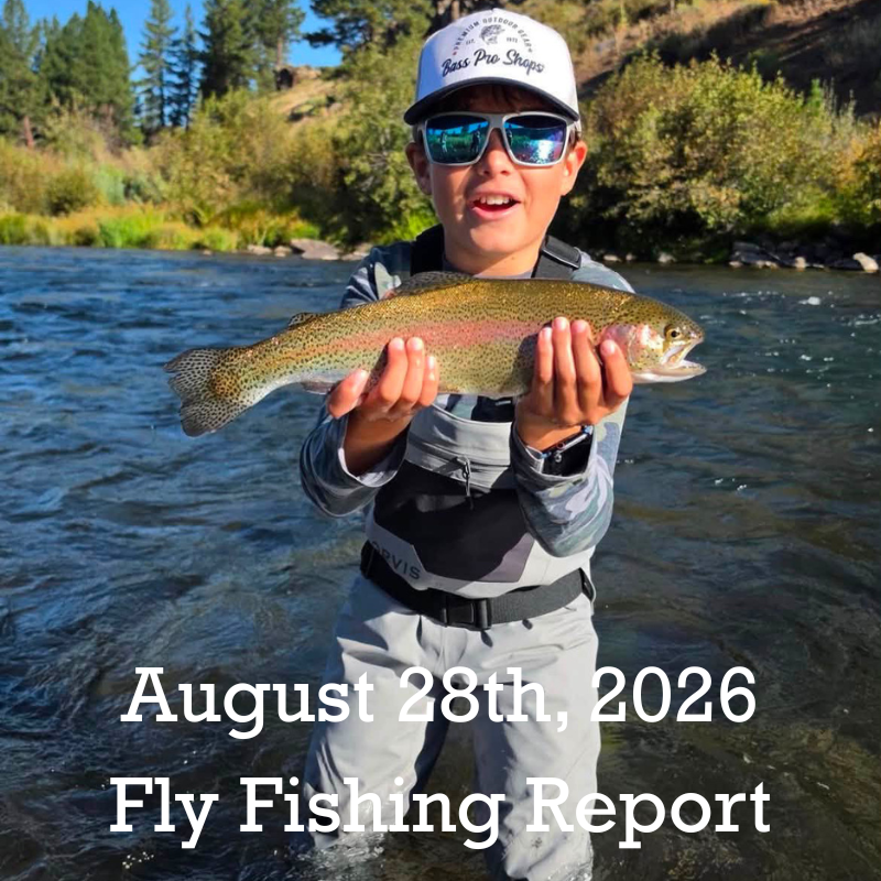August 28th Fly Fishing Report for the Truckee River, Little Truckee River