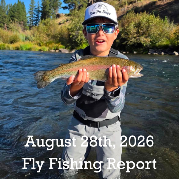 August 28th Fly Fishing Report for the Truckee River, Little Truckee River